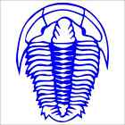 Trilobite Vinyl Decal / Sticker 2(TWO) Pack