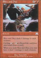 MTG magic cards 2x x2 Light Play, English Slice and Dice Onslaught