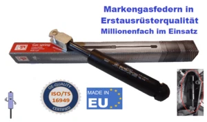 Gasdruckfeder Fritzmeier Verdeck Frontscheibe 1300N Gasfeder 128685 Fritzmeyer - Bild 1 von 8