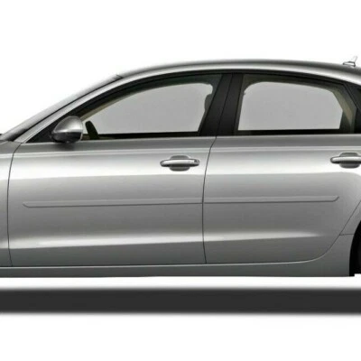 For: Audi A6 / S6 2016-2018 Painted Body Side Moldings #FE-AUDI-A6-16 - Imagem 1 de 4