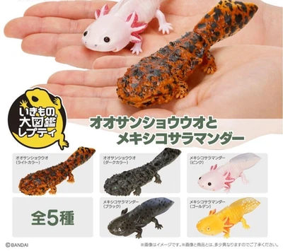 Figurine BANDAI Gashapon Salamandre & Axolotl set complet jouet capsule japonais - Photo 1/4