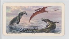 1963 Brooke Bond Red Rose Dinosaurs and Other Prehistoric Animals Tylosaurus a8x