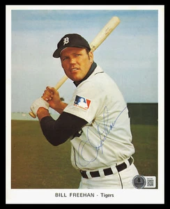 Bill Freehan Autographed 7x9 Team Issued Photo Tigers 1971 Beckett QR #BM37466 - Picture 1 of 2