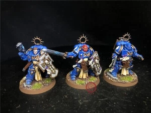 Warhammer 40K DPS painted Space Marines Bladeguard Veterans SK5425 - Picture 1 of 6