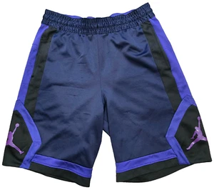 Nike Air Jordan Jumpman Men's Medium Dri-Fit Shorts Purple Blue Size M Vintage - Picture 1 of 9