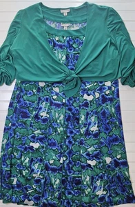 Christopher & Banks Women’s 2 Pc Sz 20 Pullover Dress With Jacket - Picture 1 of 16