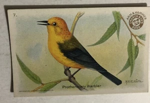 Prothonotary Warbler Victorian Trade Card Arm And Hammer VTC 5 - Picture 1 of 2