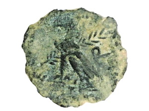 EGYPT PTOLEMY KING OF CYPRESS ZEUS AMMON EAGLE PALM BRANCH MONOGRAM ΚΥΠΡ COIN - Picture 1 of 8