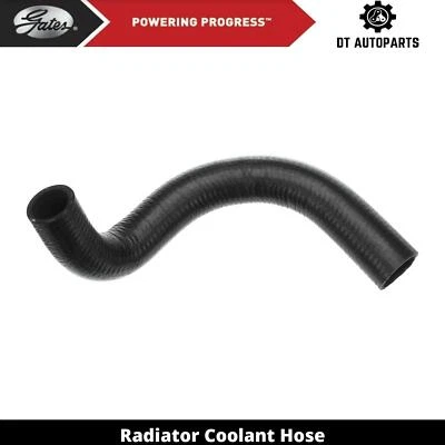 Manguera de refrigerante de radiador de gas para Pontiac GTO 6L V8 2005-2006 puertas inferiores Foto 1 de 4