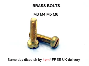 M3 M4 M5 M6 MESSINGSCHRAUBEN x 10- 50 mm geschlitzt Maschinenpannenköpfe DIN85 4/8/16er Pack - Bild 1 von 11