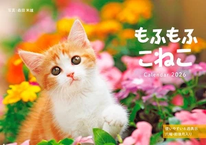 Calendario Esponjoso Gatito 2026 Mensual/Colgante de Pared/420mm x 297mm Impress 2026 786 - Imagen 1 de 1