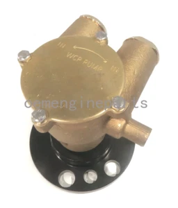 F6B-9 Fits For Volvo Penta MS4B 501B Crank Mounted Sea Raw Water Pump 857451 - Picture 1 of 6