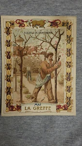 1 GRAND CHROMO TRADE CARD Litho HEROLD Mois de Mai la greffe A LA VILLE ST DENIS - Foto 1 di 2
