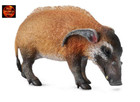 Red River Hog Boar African Wildlife Toy Model Figure by CollectA 88554 New