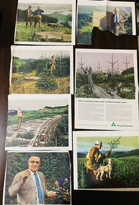 Stan Galli Foresters Scientists Charles S. Chapman, CLARK C. HERITAGE, Dr. Samuel - Imagen 1 de 7