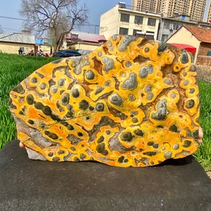 24.91LB Magic Pattern Bumblebee Ocean Jasper Quartz Crystal Specimen Healing - Picture 1 of 16