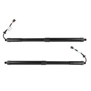 Left / Right Power Hatch Lift Support for Infiniti JX35 QX60 2014-17 90560-3JA0A - Picture 1 of 12