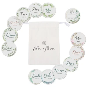 12 Sets Spanish Baby Monthly Milestone, Wooden Circle, Hello World, Newborn - Picture 1 of 6