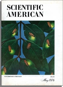 Scientific American - 1976, May - Oil and Gas From Coal, Synchronous Fireflies - Picture 1 of 1