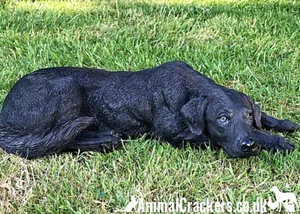 Labrador ornament memorial large 44cm realistic indoor or garden decoration gift - Picture 1 of 4