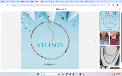 Collar Park Lane Stetson Foto 1 de 4