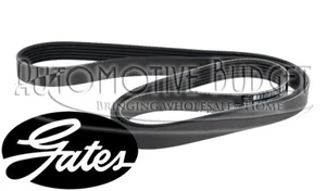 Serpentine Belt for Ferrari 458 - NEW Gates - Foto 1 di 1