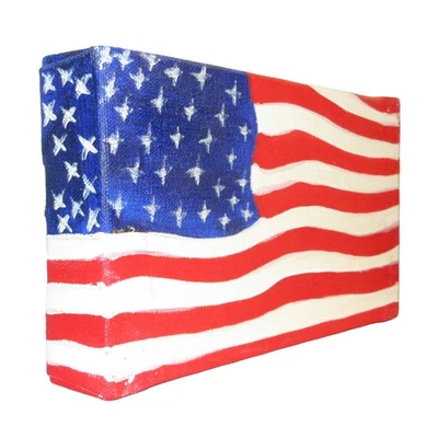 Lienzo Bandera Americana Pintura 9x5 Pintado a Mano EE. UU. Patriótico Arte de Pared Exhibición Foto 1 de 4