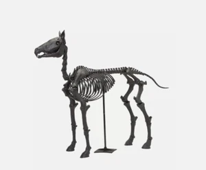 5.5 Ft. LED Black Skeleton Pony / Horse Home Depot Halloween Holiday NEW - Picture 1 of 5