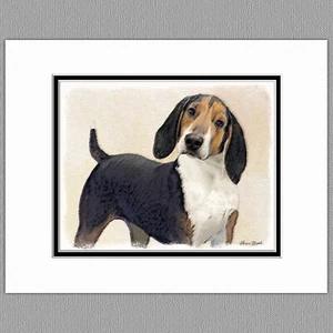 Treeing Walker Coonhound Hund Original Kunstdruck 8x10 mattiert bis 11x14 - Bild 1 von 1