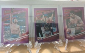 2022 UCF Brian Ortega, Julianna Pena and Antonio Rodrigo Nogueira Purple Holo.