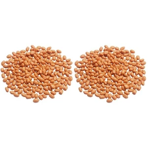  2 Bags Simulation Peanut Kernels Dried Decorations Artificial Food Props Fruits - Picture 1 of 12