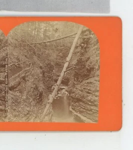 Mystic Gorge Watkins Glen NY New York Stereoansicht um 1870 - Bild 1 von 2