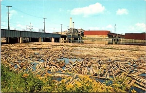 Postal de Minnesota International Bridge Fort Frances Logging A116 - Imagen 1 de 2