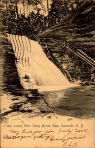 RARE Dansville, New York NY ~ Stony Brook Glen Lower Falls UDB POSTCARD BK74 - Picture 1 of 2