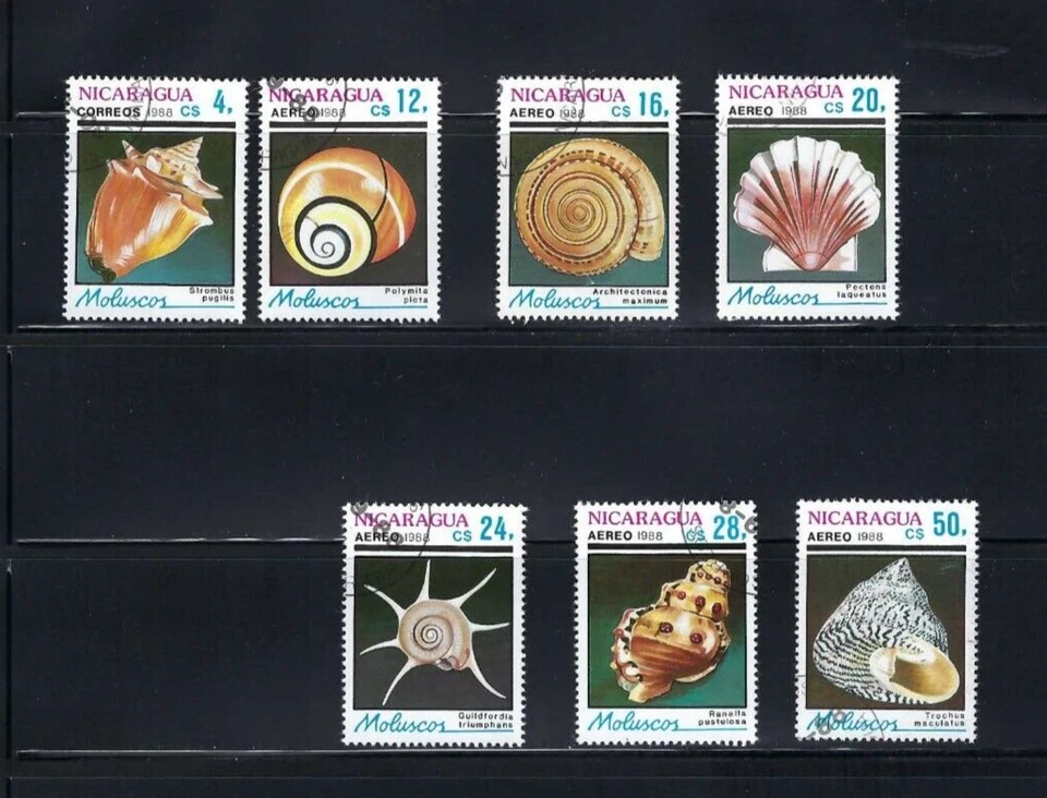 FISH MARINE- NICARAGUA  {7} - Image 1 of 1