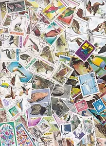 Y1018 - Verzameling/Collection/Sammlung - 500 diff. - Vogels / Birds/ Vögel - Imagen 1 de 5