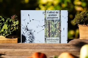 Coffret de Graines - Spécial Légumes du Soleil - Imagen 1 de 14