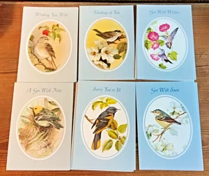 Get Well Cards Set of 12 with Envelopes – Bird Artwork - Picture 1 of 12