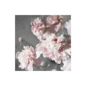Stampa su Tela su Carta Poster o Quadro Sullivan Shawna Peonies on Gray II - Picture 1 of 2