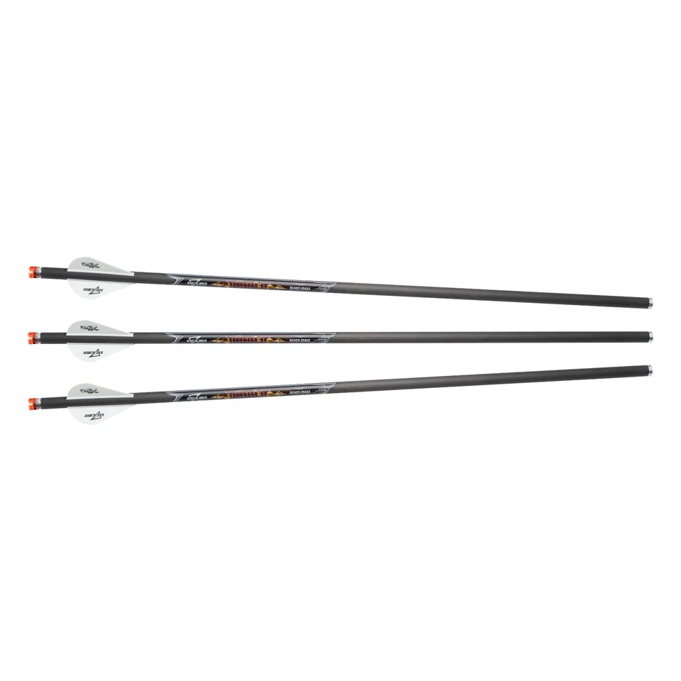 EXCALIBUR DIABLO 18″ ILLUMINATED CARBON ARROWS – 3 PACK - Image 1 of 1