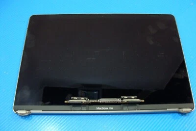 MacBook Pro A1706 13" Mid 2017 MPXV2LL/A LCD Screen Assembly Gray 661-07970 READ - Image 1 of 4