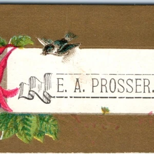 c1880s "E.A. Tarjeta comercial de llamadas Prosser" Litografía Stock Flor Pájaro Banner Visita C3 - Imagen 1 de 3