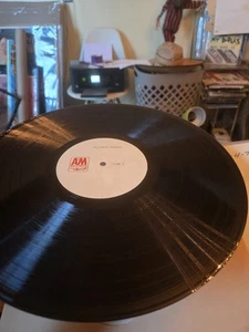 Halloween Horrors 1977 Acetate Record AnM Records Rare Lp Stunning - Picture 1 of 10