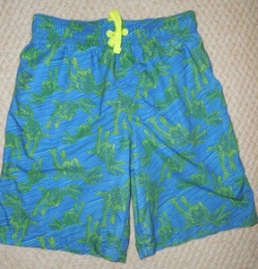*Fantastic Condition* Boys Size 8 T-Rex Dinosaur Swim Trunks/ Swimsuit - Picture 1 of 1