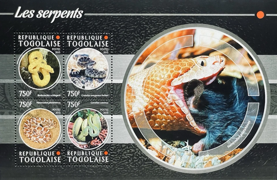 TOGO SNAKES STAMPS SHEET OF 4 MNH 2015 REPTILE WILDLIFE FAUNA SNAKE - Image 1 of 1