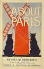 Paris Red Windmill Poster retro advertisements advert art print