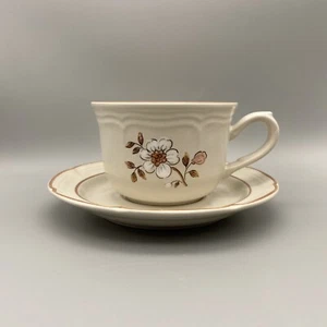 Covington Edition Idlewild NEW w/tag CUP and SAUCER Hand Painted Stoneware Japan - Picture 1 of 11