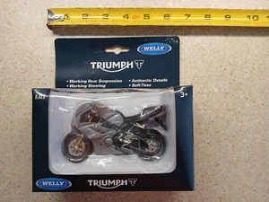 Triumph Daytona 675 Die Cast Motorcycle Silver 1:18 Scale New Sealed Package - Picture 1 of 6