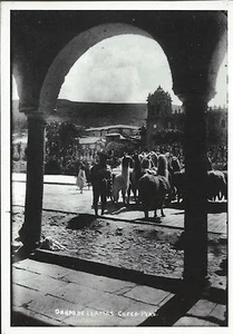 CARTOLINA FOTO MEZA SALAZAR GRUPO DE LLAMAS LAMA PERU CUSCO 1933 RIPRODUZIONE - Picture 1 of 1