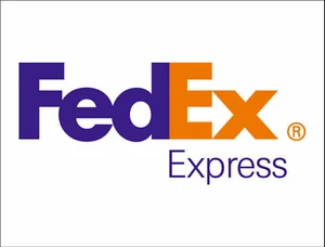 The Shipping Postage by Fedex Express Delivery for Human Hair Replacement Wigs - Picture 1 of 2